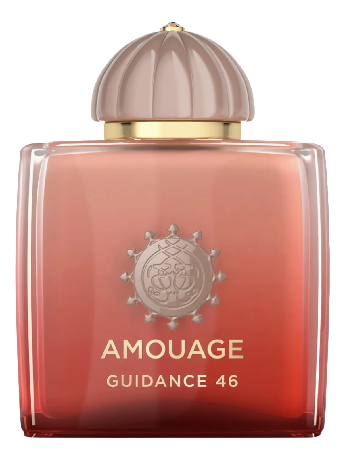 Guidance Guidance 46