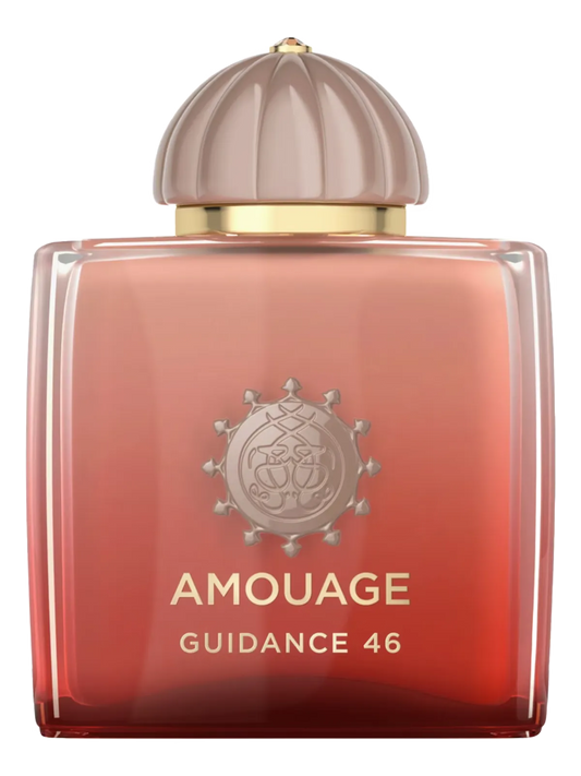 Guidance Guidance 46