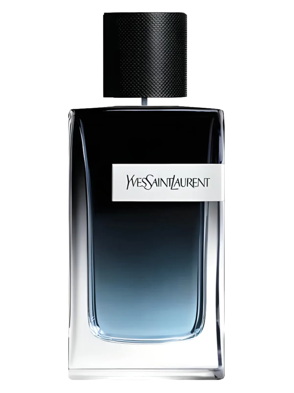 Yves Saint Laurent Y