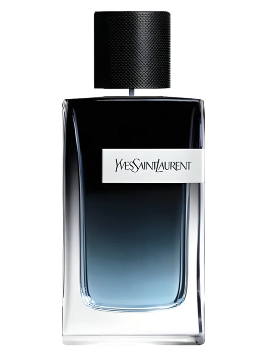 Yves Saint Laurent Y